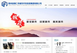 沙市城市开发投资集团有限公司